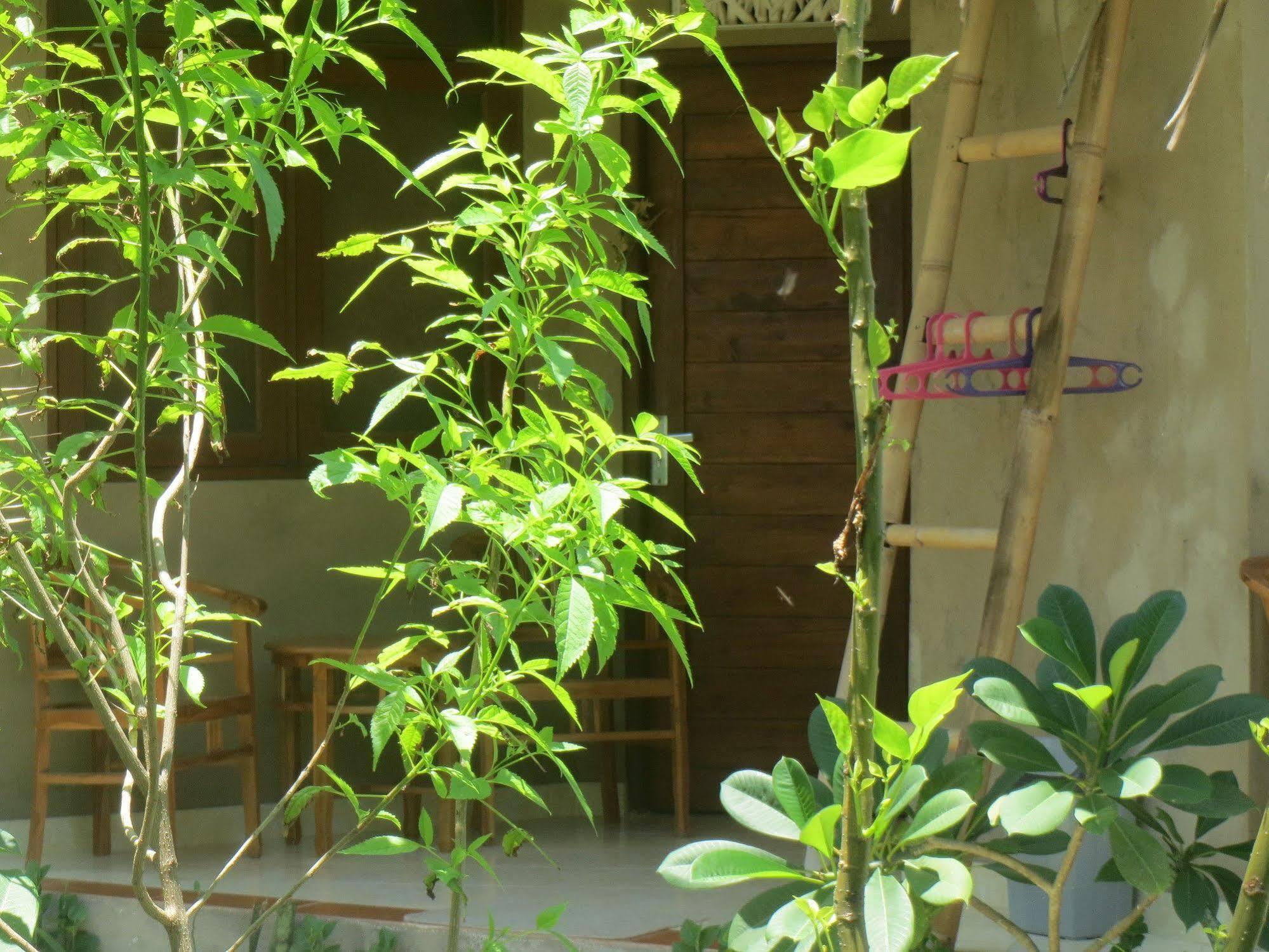 Amed Sari Beach Guesthouse Εξωτερικό φωτογραφία
