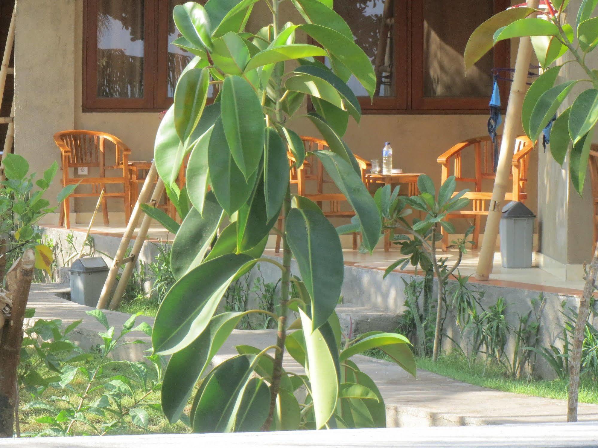 Amed Sari Beach Guesthouse Εξωτερικό φωτογραφία
