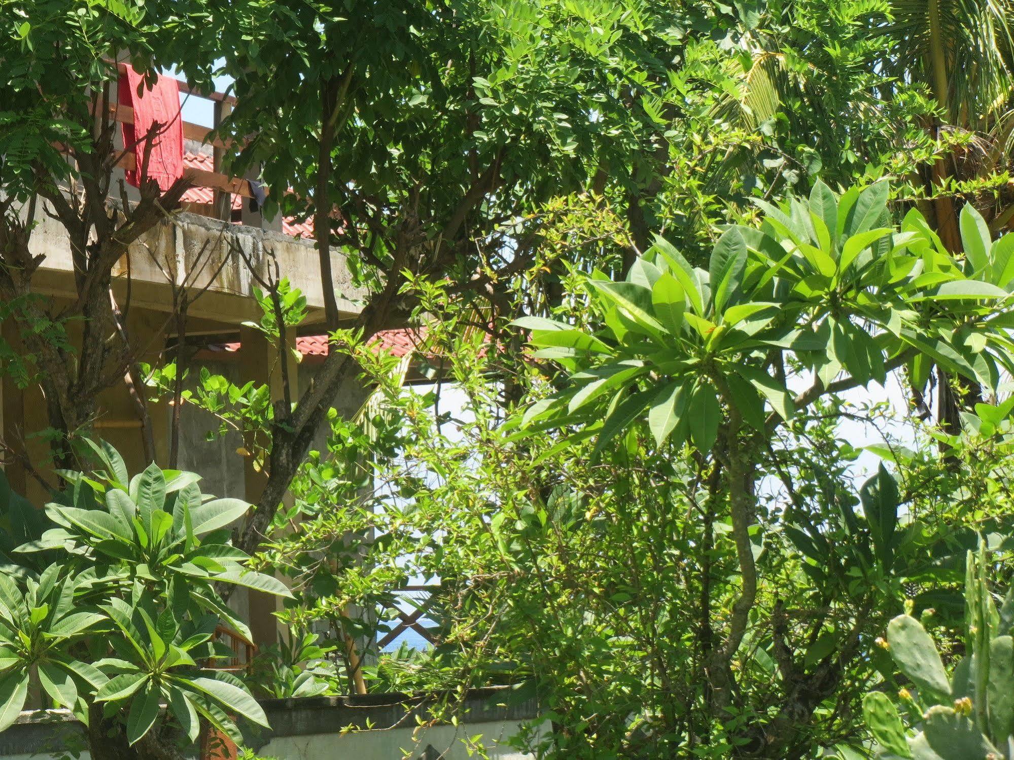Amed Sari Beach Guesthouse Εξωτερικό φωτογραφία
