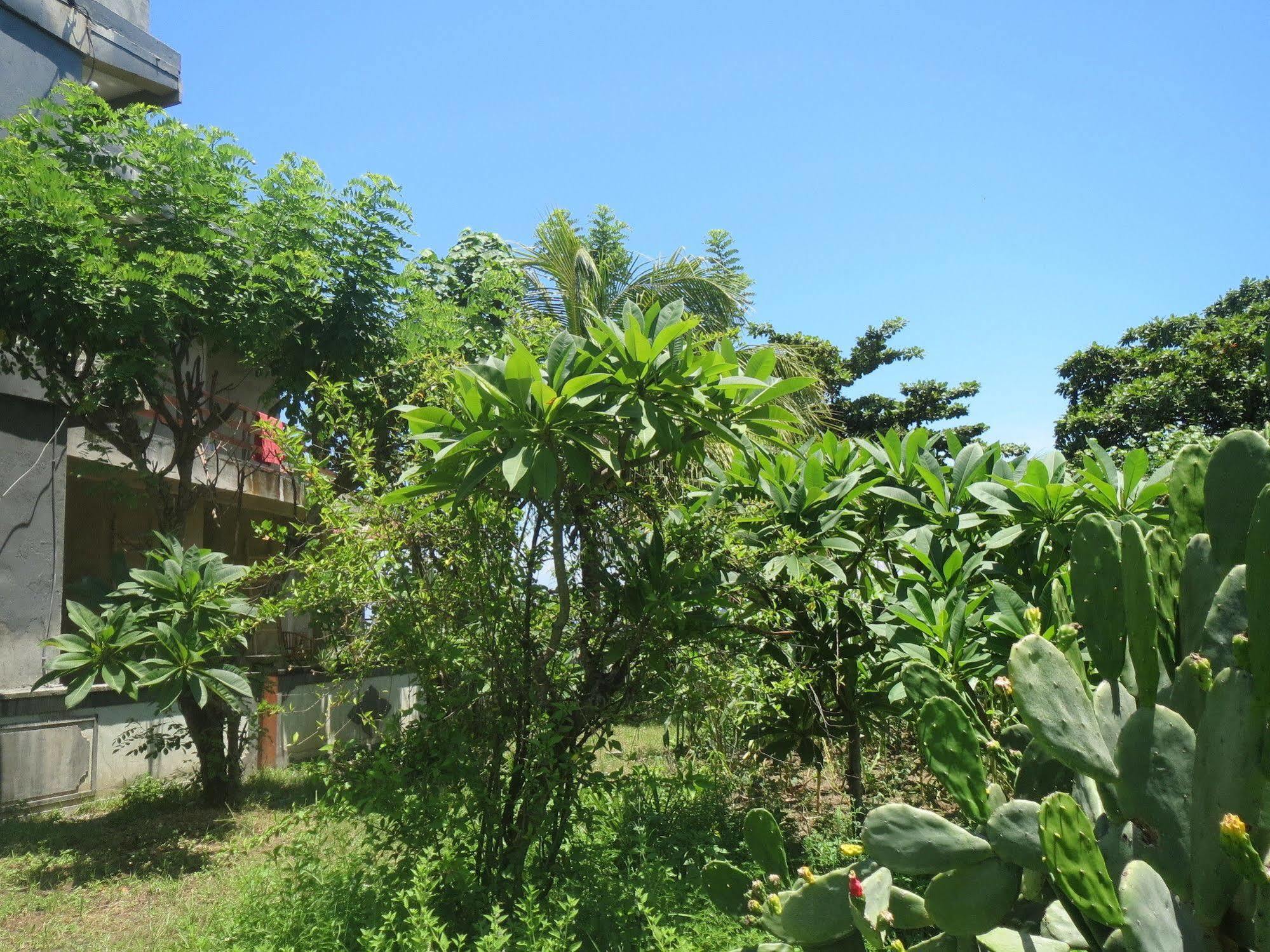 Amed Sari Beach Guesthouse Εξωτερικό φωτογραφία